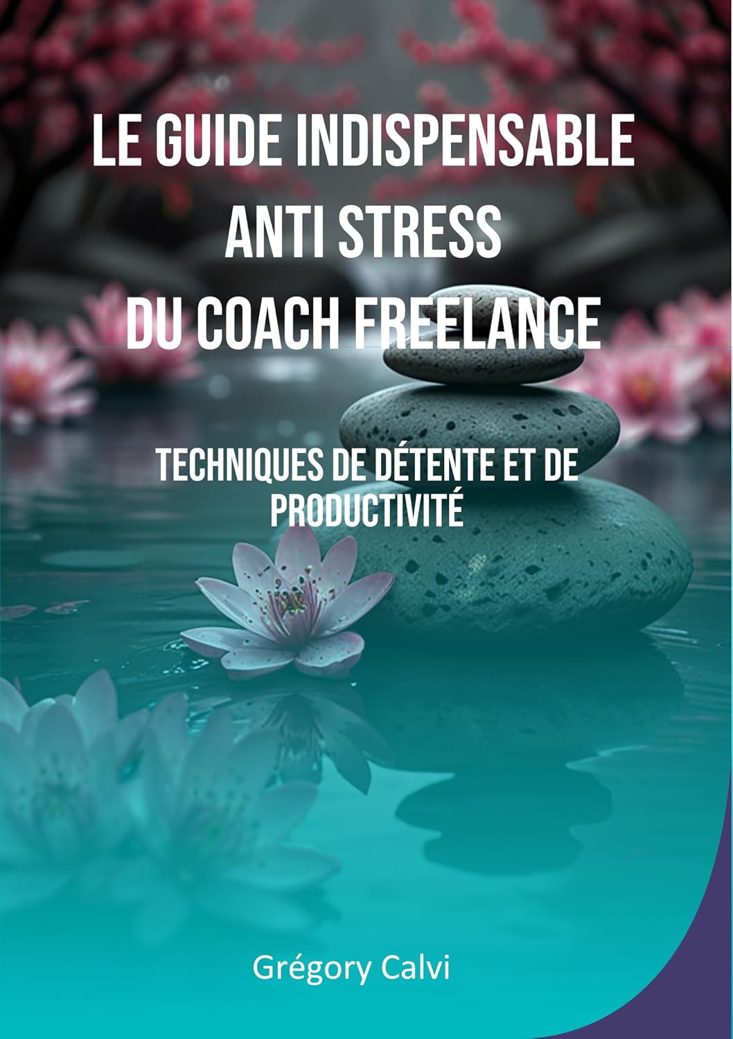 Libérez Votre Esprit : Découvrez Le Guide Indispensable Anti Stress du Coach Freelance
